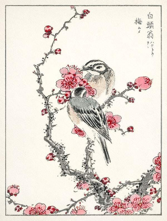 Pine Bunting and Plum Tree (1885) by Numata Kashu