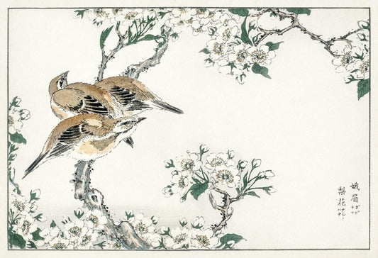 Japanese Yellow Bunting and Chinese Amaranth illustration from Pictorial Monograph of Birds (1885) by Numata Kashu