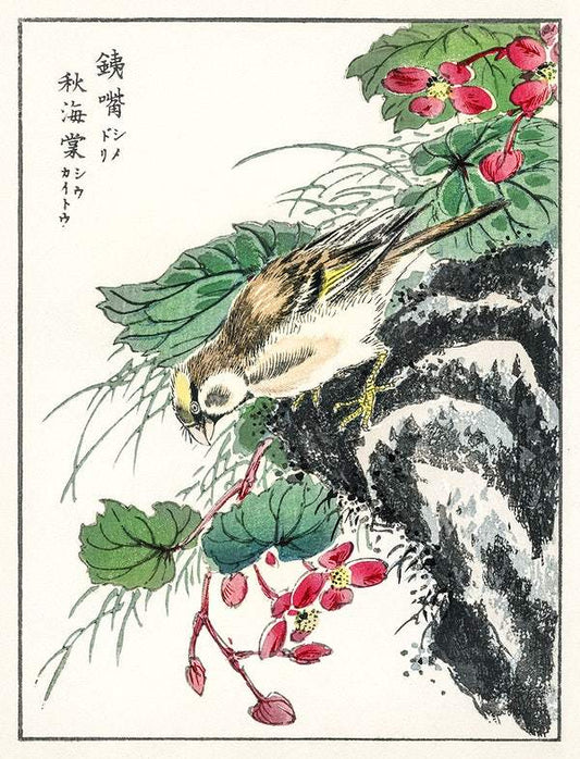 Japanese Hawfinch (1885) by Numata Kashu