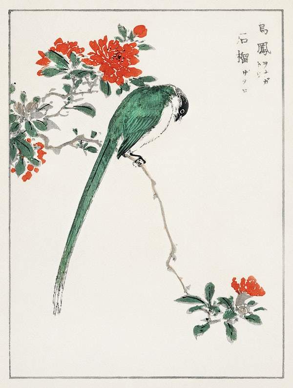 Japanese Long-tailed Tit (1885) by Numata Kashu