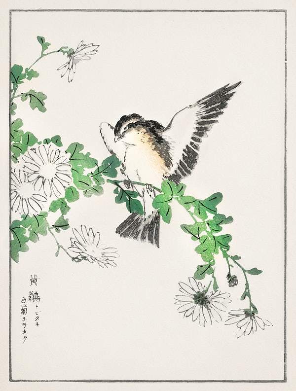 Narcissus Flycatcher (1885) by Numata Kashu