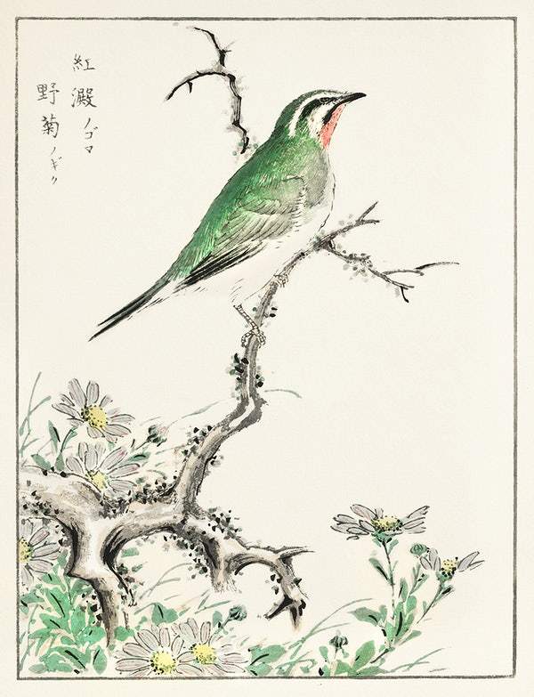 Ruby Throat (1885) by Numata Kashu