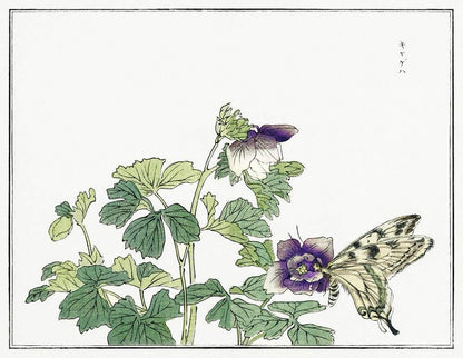 A fine art print featuring a traditional Japanese woodblock style illustration of a butterfly and flowers.