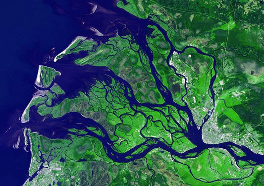 A satellite image of a river delta, predominantly green with blue and brown accents, representing a landscape from space.