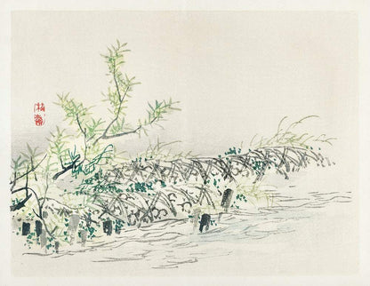 A framed art print of a landscape featuring greenery and water, with a white background.