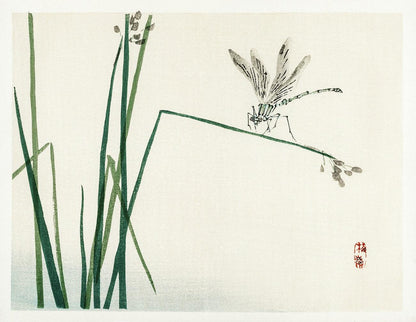 A traditional Japanese woodblock print featuring a dragonfly on a bulrush leaf, with subtle green and white colors on a primarily white background, including a artist's seal in the lower right corner.