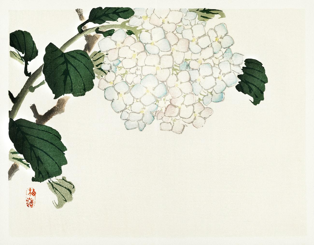 Hydrangea by Kōno Bairei (1913)