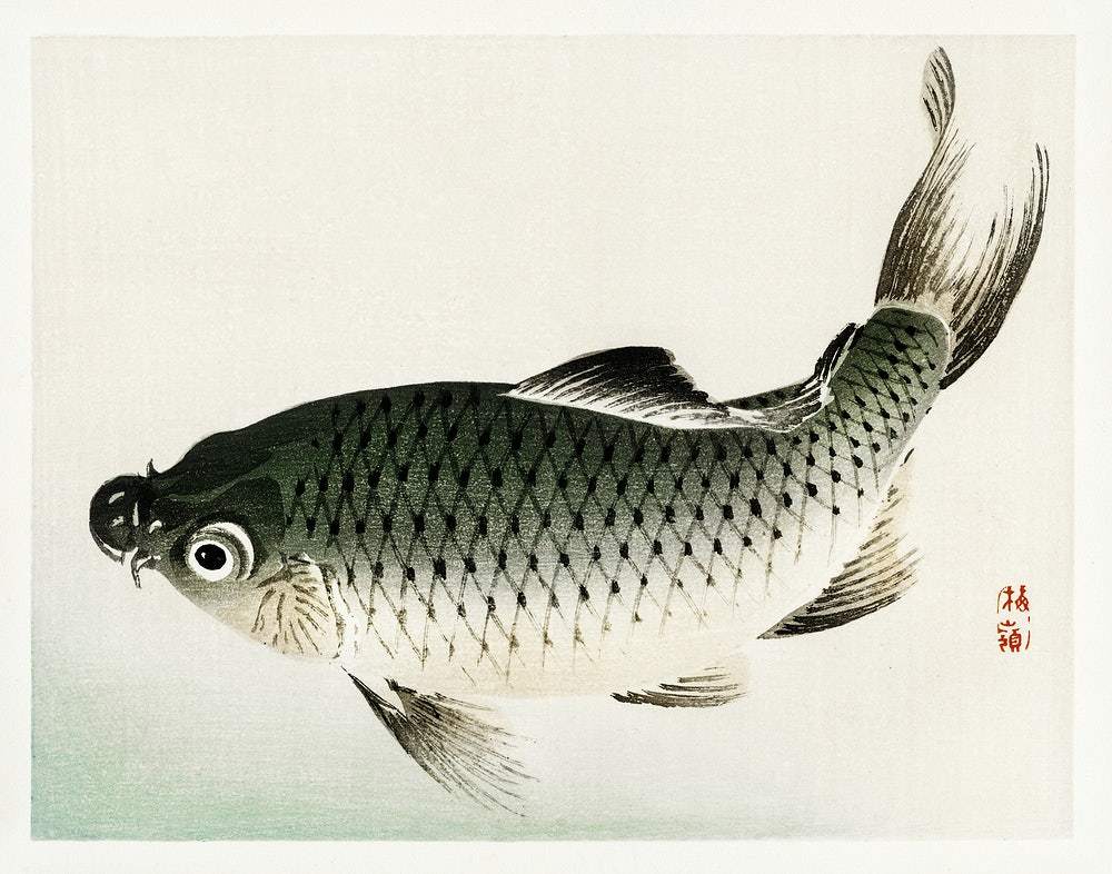 Carp by Kōno Bairei (1913)