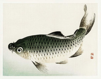 A traditional Japanese woodblock print of a carp, featuring gray and white tones with hints of color, presented on a plain background.