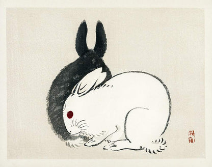 A black and white artwork featuring two rabbits, one black and one white, with the black rabbit partially covering the white one.