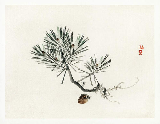 Pine by Kōno Bairei (1913)