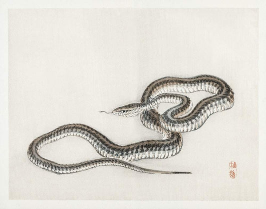 Snake by Kōno Bairei (1913)