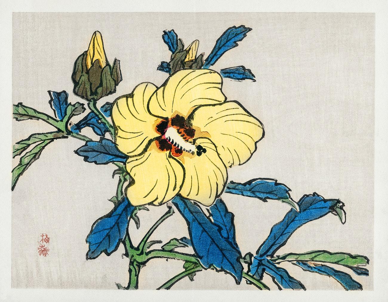 Hibiscus by Kōno Bairei by Kōno Bairei (1913)