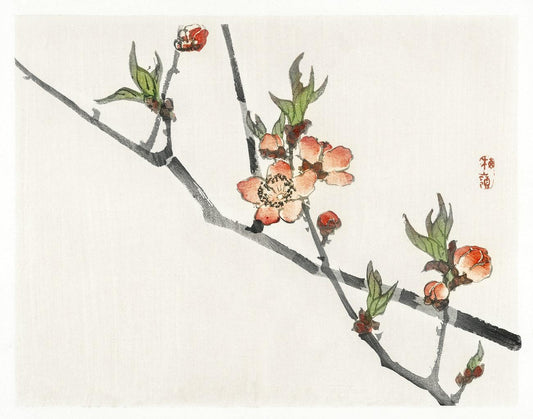 Peach by Kōno Bairei (1913)