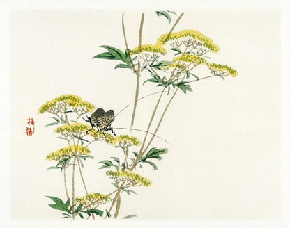 A printed artwork depicting a flannel flower with yellow petals and a butterfly, using vibrant Giclee inks on possibly white or light-colored paper.