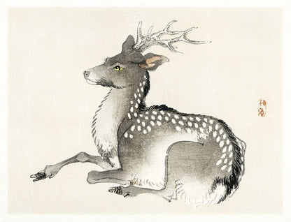 A traditional Japanese woodblock print of an elk, with gray, white, and black colors, by artist KΛα Bairei from 1913.