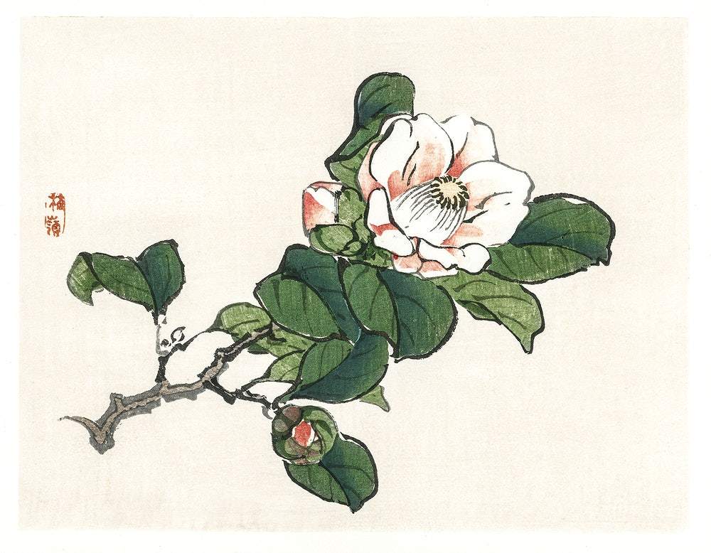 Camelia by Kōno Bairei (1913)