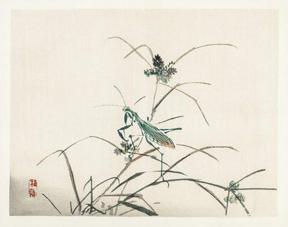 A framed art print of a grasshopper on a plant, with a white background, likely a traditional Japanese woodblock print.