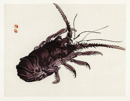 A traditional Japanese woodcut print of a crayfish by Kōno Bairei, featuring a stylized depiction of the animal with a focus on detail and texture.