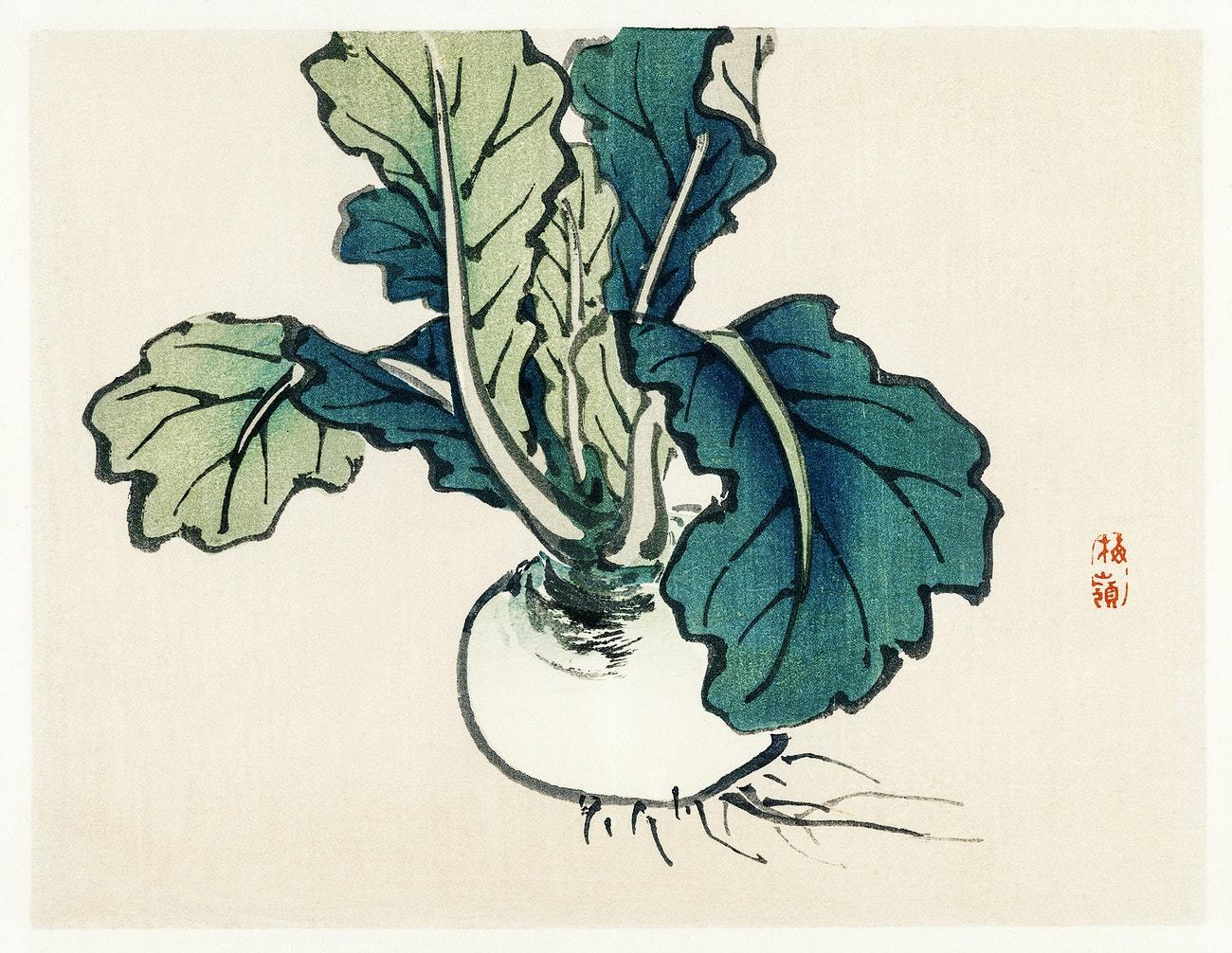 Radish by Kōno Bairei (1913)