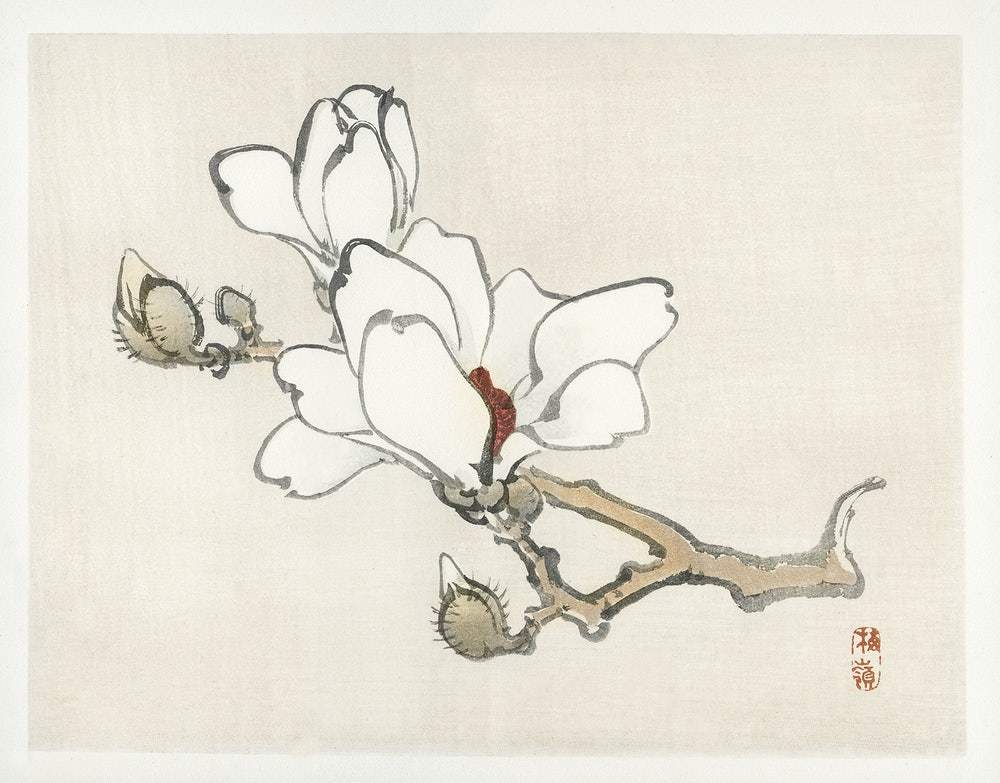 Magnolia by Kōno Bairei (1913)