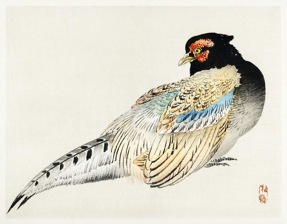 Peregrine falcon by Kōno Bairei (1913)