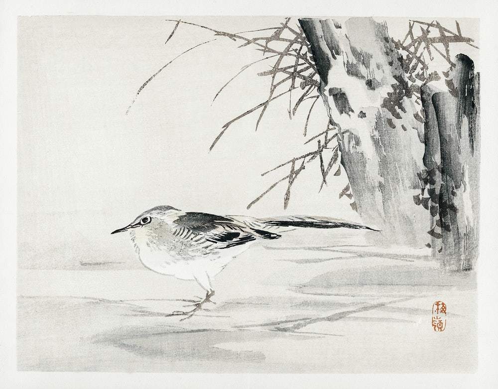 Spotted sandpiper by Kōno Bairei (1913)