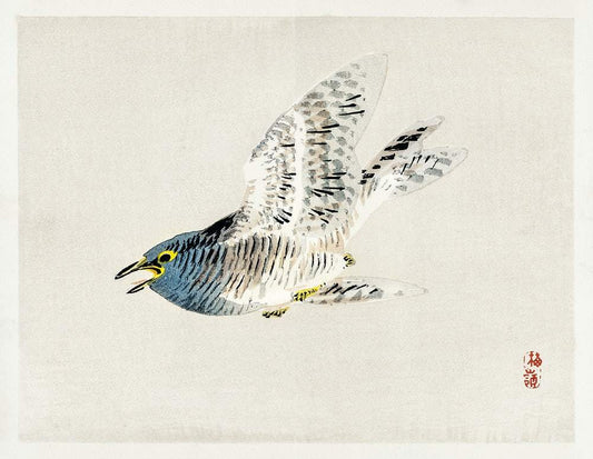 European herring gull by Kōno Bairei (1913)