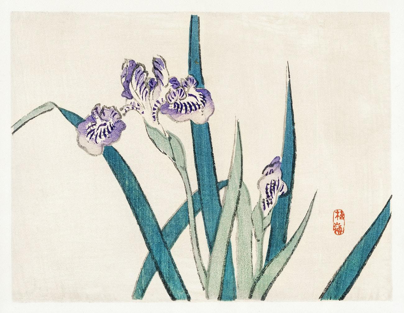 Irises by Kōno Bairei (1913)