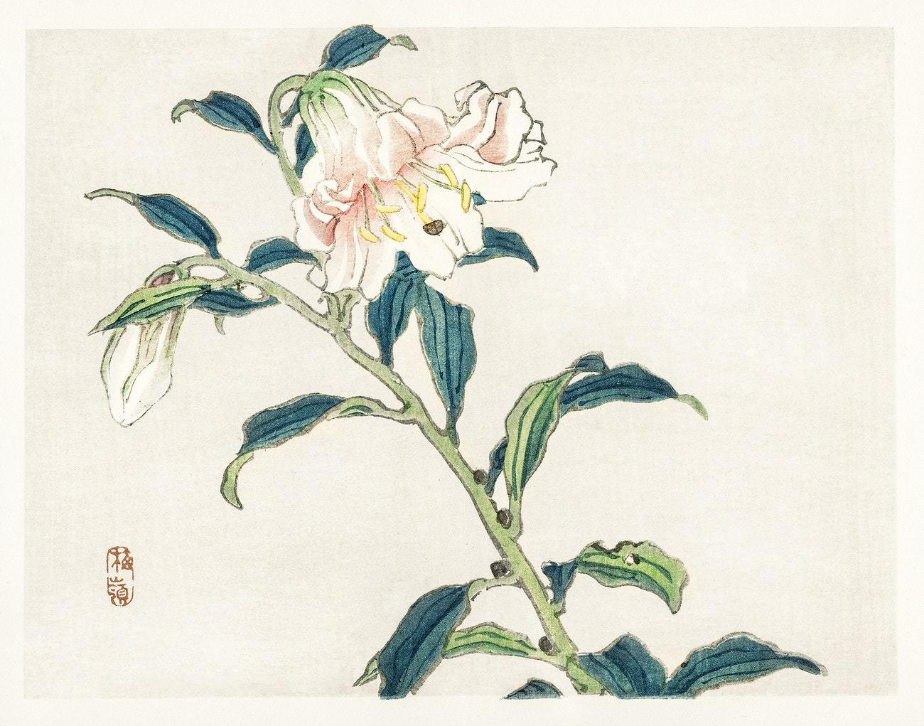 Lily by Kōno Bairei (1913)