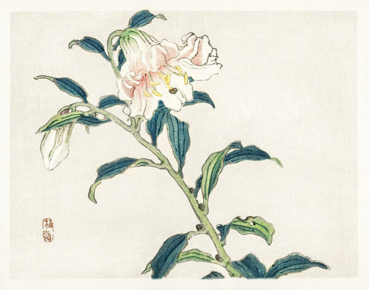 Lily by Kōno Bairei (1913)