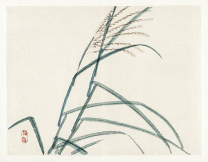 Poaceae by Kōno Bairei (1913)
