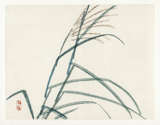 Poaceae by Kōno Bairei (1913)