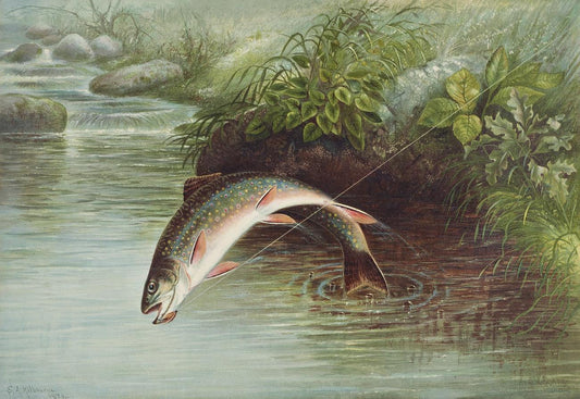 Leaping Brook Trout by Samuel Kilbourne (1836-1881)