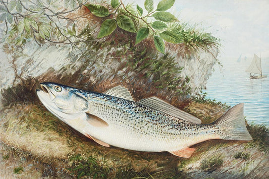 The Weakfish by Samuel Kilbourne (1836-1881)