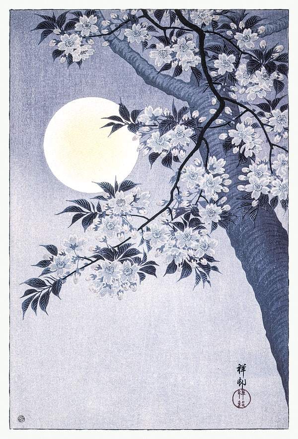 Blossoming Cherry on a Moonlit Night (ca. 1932) by Ohara Koson