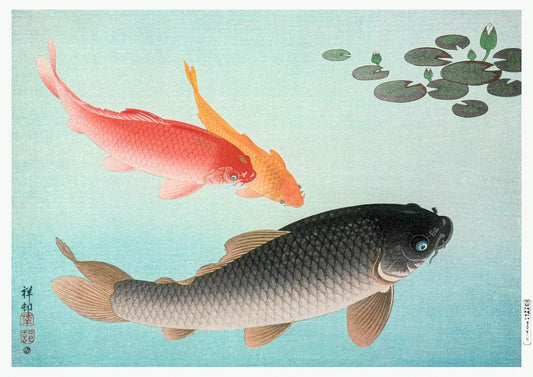 Common and Golden Carp (1935) by Ohara Koson