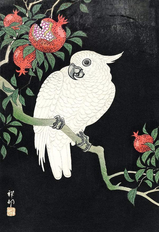 Cockatoo and Pomegranate by Ohara Koson