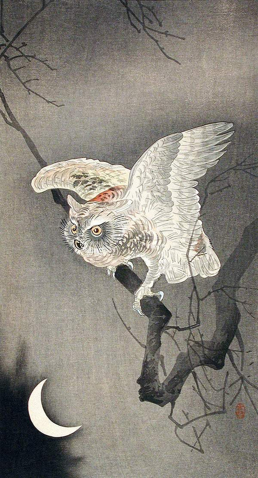 Scops Owl in Moonlight by Ohara Koson