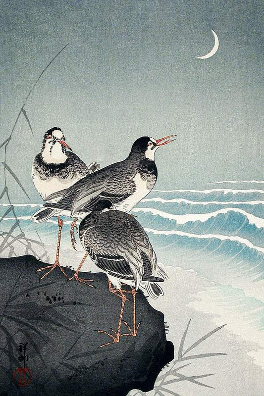 Snipes at the Shore (1926) by Ohara Koson