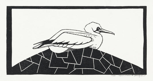 Northern gannet (1931) print in high resolution by Samuel de Mesquita