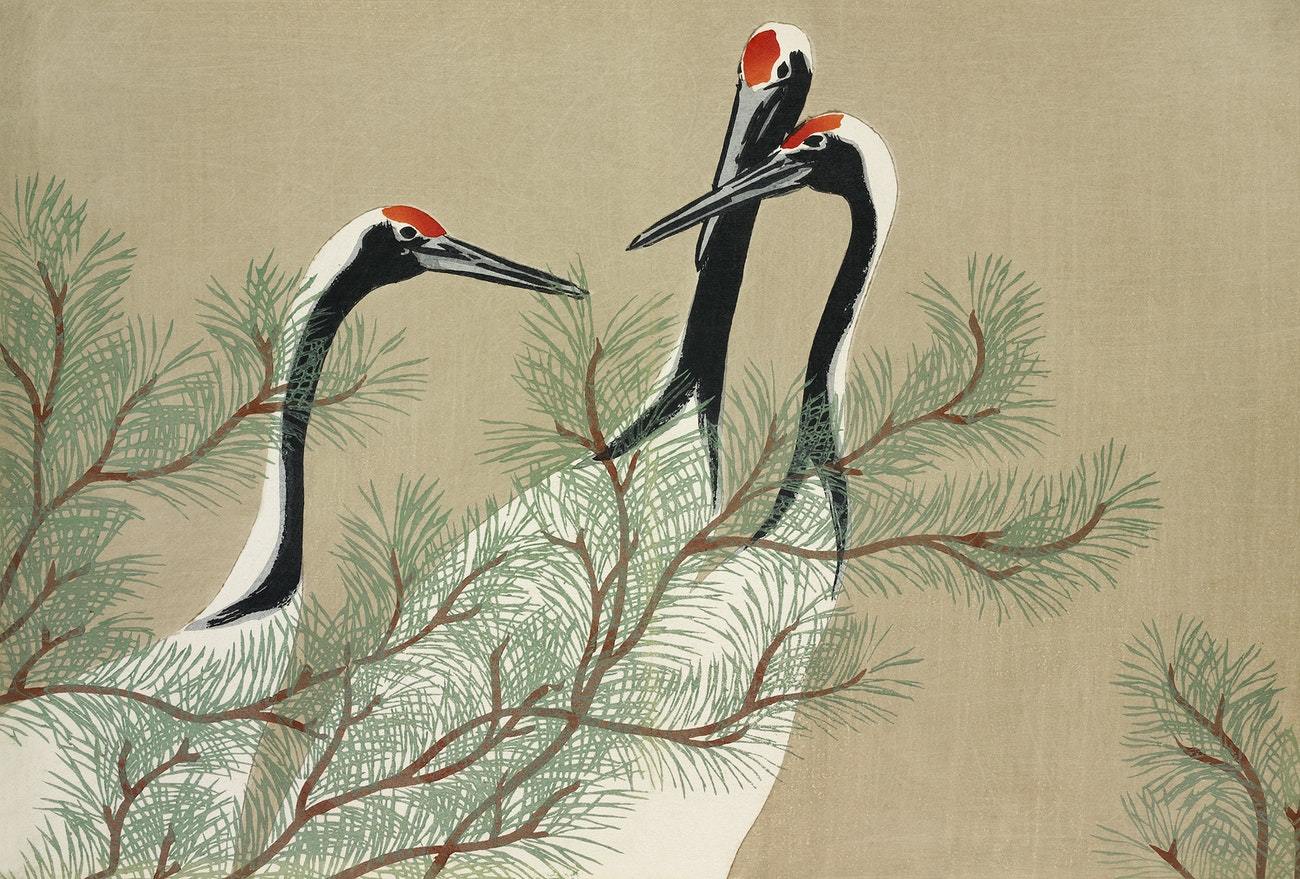 Cranes from Momoyogusa by Kamisaka Sekka