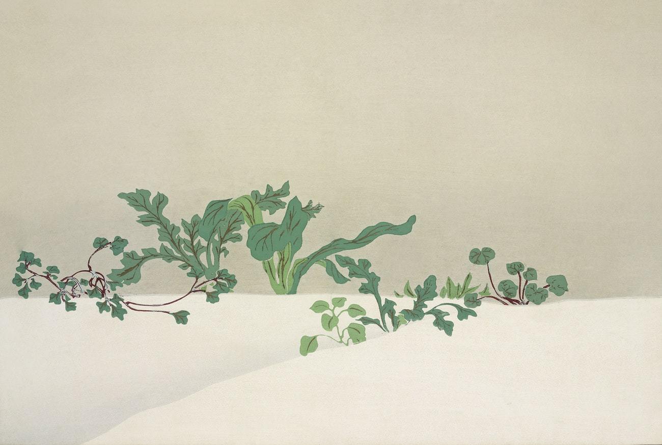 Green plants from Momoyogusa by Kamisaka Sekka