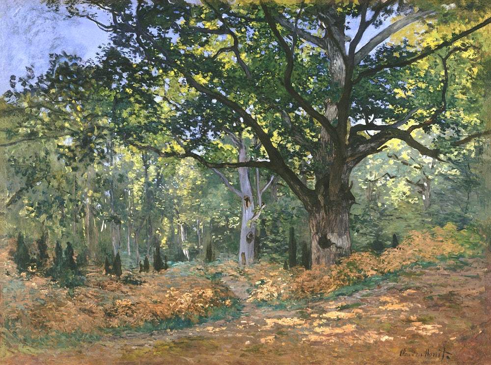 The Bodmer Oak, Fontainebleau Forest (1865) by Claude Monet