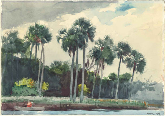 Red Shirt, Homosassa, Florida by Winslow Homer 1904