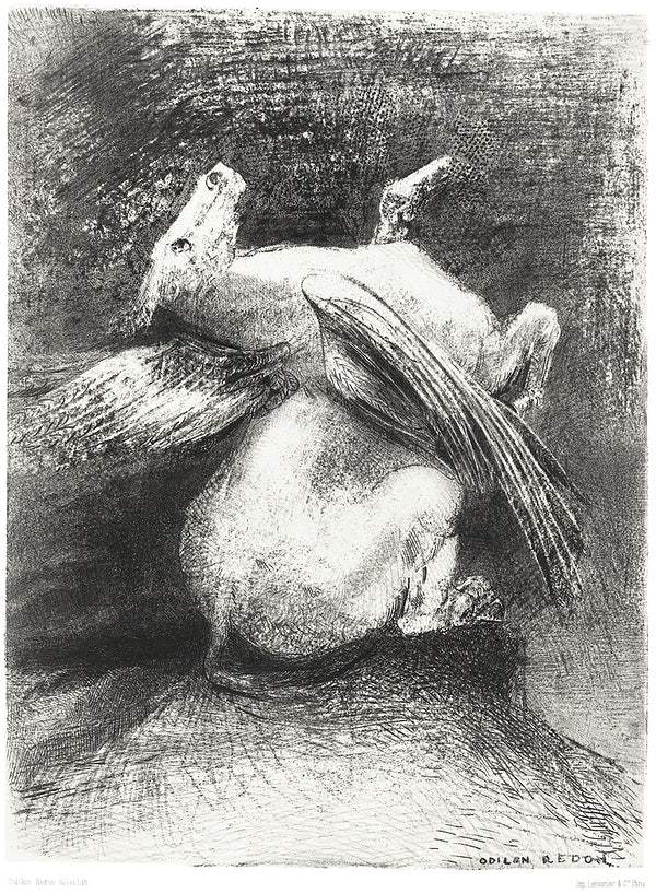 The Impotent Wing Did Not Lift the Animal Into That Black Space (1883) by Odilon Redon