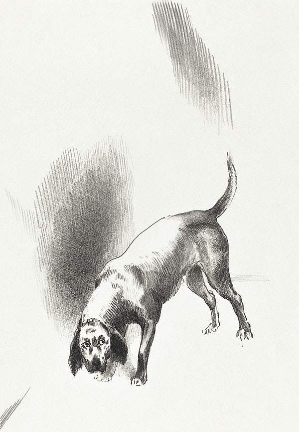 The Dog (1896) by Odilon Redon