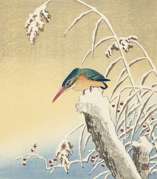 Kingfisher in the snow (ca. 1925–1936) by Ohara Koson