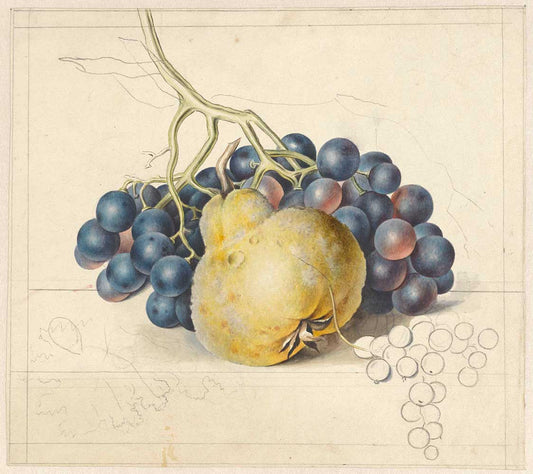 Fruit by George Jacobus Johannes van Os 1792