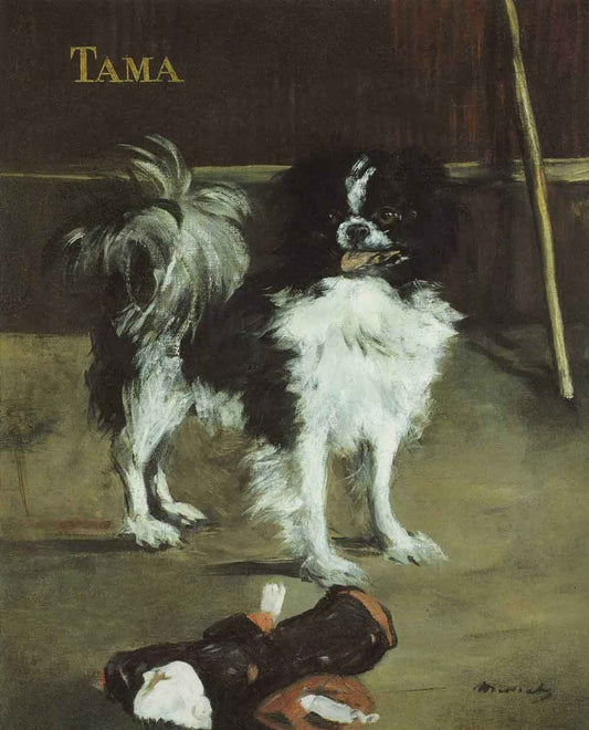 Tama, the Japanese Dog by Edourd Manet 1875